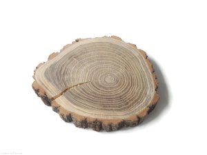 Plaster drewna Akacja szlifowana 20-25 cm / 2 cm z pęknięciem