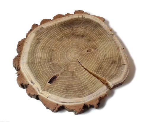 Plaster drewna Akacja szlifowana 25-28 cm / 2 cm  z pęknięciem