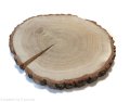 Plaster drewna Dąb szlifowany 30-35 cm / 3 cm - z pęknięciem