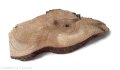 Plaster drewna Orzech nieszlifowany 6-14 cm / 1 cm z ubytkami kory, z pęknięciem