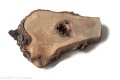 Plaster drewna Orzech nieszlifowany 6-14 cm / 1 cm z ubytkami kory, z pęknięciem