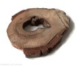 Plaster drewna Orzech nieszlifowany 6-14 cm / 1 cm z ubytkami kory, z pęknięciem