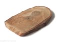 Plaster drewna Orzech nieszlifowany 6-14 cm / 1 cm z ubytkami kory, z pęknięciem