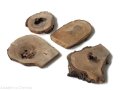 Plaster drewna Orzech nieszlifowany 6-14 cm / 1 cm z ubytkami kory, z pęknięciem