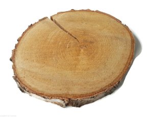 Plaster drewna Brzoza nieszlifowana 20-25 cm / 2 cm - z pęknięciem