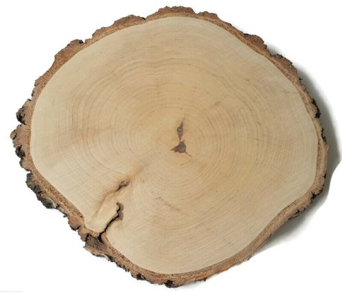 Plaster drewna Brzoza szlifowana 28-30 cm / 2,5 cm