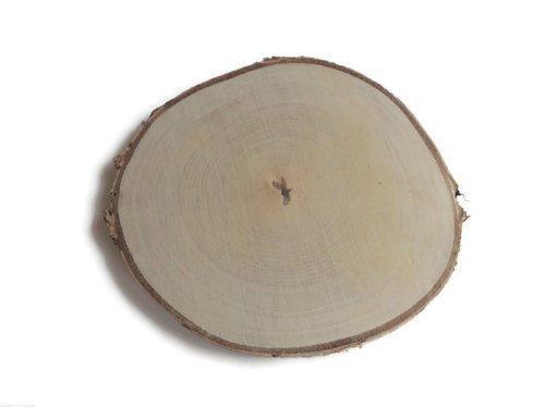 Plaster drewna brzoza szlifowana z grawerem