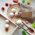 Zestaw do transferowania Montessori