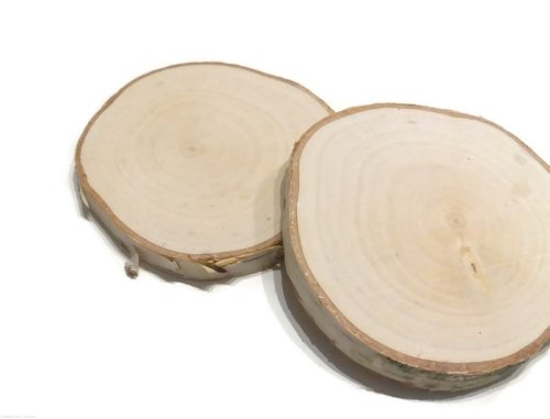 Plaster drewna Brzoza szlifowana 12-14 cm / 2 cm