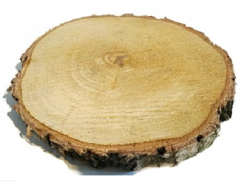 Plaster drewna Brzoza nieszlifowana 14-17 cm / 2 cm
