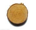 Plaster drewna Brzoza nieszlifowana 14-17 cm / 2 cm