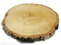 Plaster drewna Brzoza nieszlifowana 20-25 cm / 2 cm