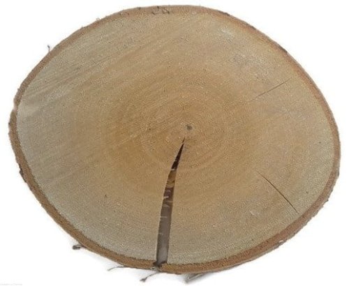 Plaster drewna Brzoza nieszlifowana 15-20 cm / 2 cm - z pęknięciem