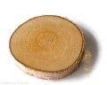 Plaster drewna Brzoza nieszlifowana 6-10 cm / 2 cm