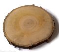 Plaster drewna Plaster drewna Grusza szlifowana 14-17 cm / 2 cm 