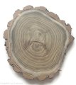 Akacja szlifowana 20-25 cm / 2 cm z ubytkami kory