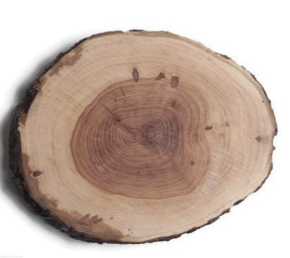 Plaster drewna Czereśnia szlifowana 14-17 cm / 2 cm