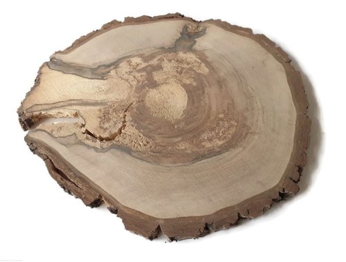 Orzech włoski szlifowany 28-35 cm / 2 cm - z pęknięciem