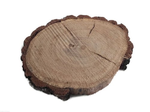 Plaster drewna Dąb nieszlifowany 20-25 cm / 2 cm z ubytkami kory, z pęknięciem