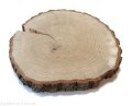 Plaster drewna Dąb szlifowany 17-20 cm / 3 cm z ubytkami kory, z pęknięciem