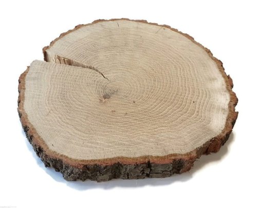 Plaster drewna Dąb szlifowany 17-20 cm / 3 cm z ubytkami kory, z pęknięciem