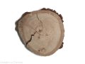 Plaster drewna Dąb szlifowany 17-20 cm / 3 cm z ubytkami kory, z pęknięciem