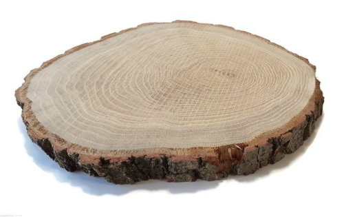 Plaster drewna Dąb szlifowany 25-28 cm / 2-2,5 cm
