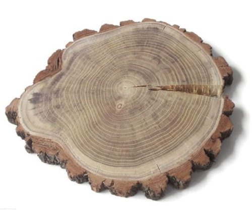 Plaster drewna Akacja szlifowana 28-35 cm / 2 cm  z pęknięciem