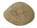 Plaster drewna Akacja szlifowana 20-23 cm / 2,5 cm  BEZ KORY z pęknięciem