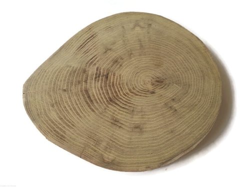 Plaster drewna Akacja szlifowana 20-23 cm / 2,5 cm  BEZ KORY z pęknięciem