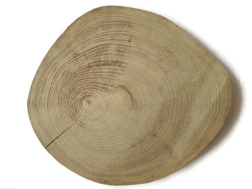 Plaster drewna Akacja szlifowana 25-28 cm / 2,5 cm  BEZ KORY z pęknięciem