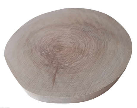 Plaster drewna Brzoza szlifowana 23-30 cm / 2 cm -  bez kory 