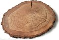 Plaster drewna Dąb z korą OLEJOWANY szlifowany 23-28 cm / 2 cm z pęknięciem