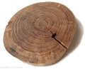 Plaster drewna Dąb bez kory OLEJOWANY z pęknięciem szlifowany 12-14 cm / 2 cm