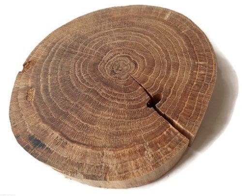 Plaster drewna Dąb bez kory OLEJOWANY z pęknięciem szlifowany 12-14 cm / 2 cm