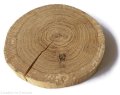 Plaster drewna Dąb bez kory OLEJOWANY z pęknięciem szlifowany 12-14 cm / 2 cm