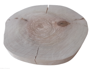 Plaster drewna Brzoza szlifowana 17-20 cm / 2 cm -  bez kory, z pęknięciem