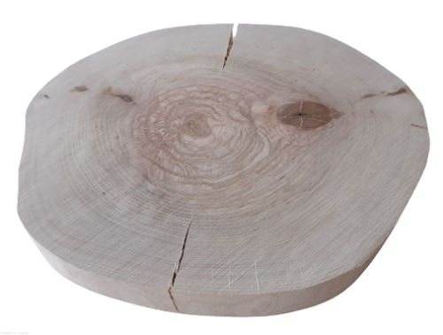 Plaster drewna Brzoza szlifowana 17-20 cm / 2 cm -  bez kory, z pęknięciem