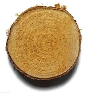 Plaster drewna Brzoza nieszlifowana 3-5 cm / 2 cm