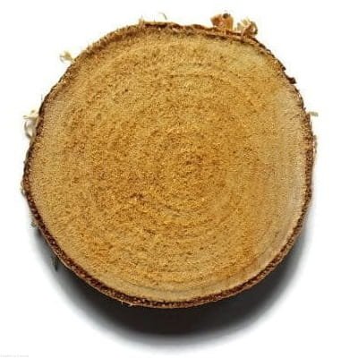 Plaster drewna Brzoza nieszlifowana 3-5 cm / 2 cm