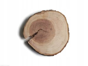 Plaster drewna Czereśnia szlifowana 12-14 cm / 2 cm   z pęknięciem