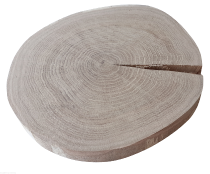 Plaster drewna Dąb BEZ KORY szlifowany 30-35 cm / 3 cm z pęknięciem
