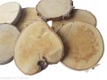 Plastry drewna Brzoza nieszlifowana 8-12 cm / 1 cm ZESTAW 50 szt - II gatunek
