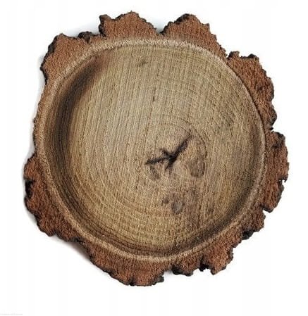Plaster drewna Akacja nieszlifowana 6-14 cm / 2 cm z ubytkami kory, z pęknięciem
