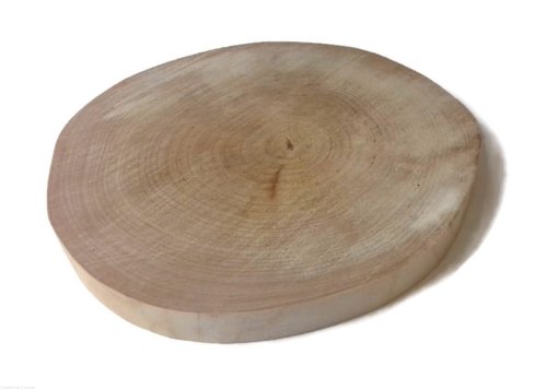 Plaster drewna Brzoza bez kory OLEJOWANA szlifowana 14-17 cm / 2 cm