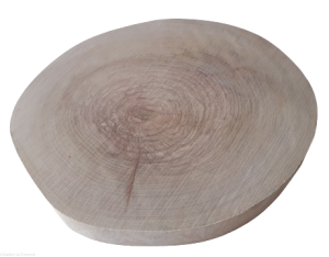 Plaster drewna Brzoza szlifowana 30-35 cm / 2 cm -  bez kory