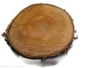 Plaster drewna Grusza nieszlifowana 14-20 cm / 2 cm z ubytkami kory, z pęknięciem