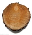 Plaster drewna Grusza nieszlifowana 14-20 cm / 2 cm z ubytkami kory, z pęknięciem