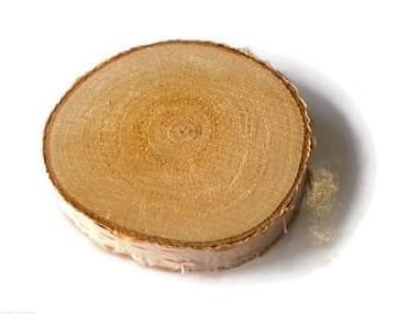Plaster drewna Brzoza nieszlifowana 6-8 cm / 1 cm  