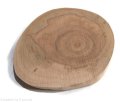 Plaster drewna Czereśnia szlifowana 12-14 cm / 2 cm -  bez kory
